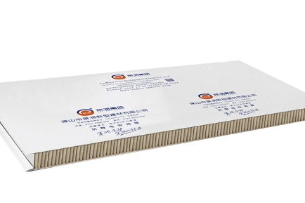 Thick paper honeycomb sandwich panel